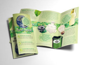 Green Brochure folded and opened