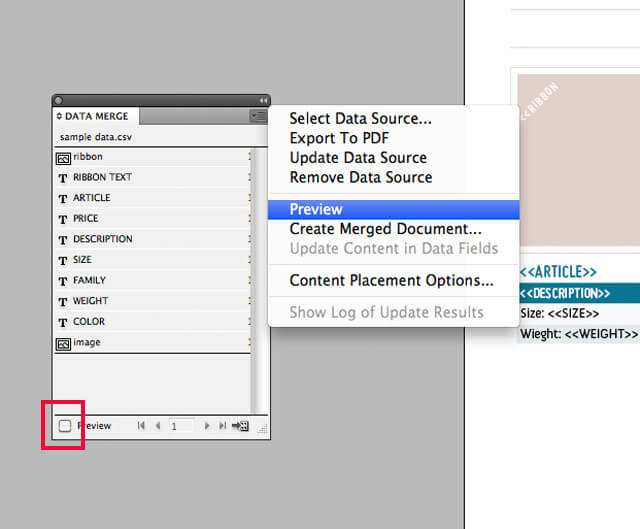 Choose Preview Data Merge